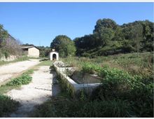 52019-photo-riserva-naturale-della-marcigliana-211-jpgjpg