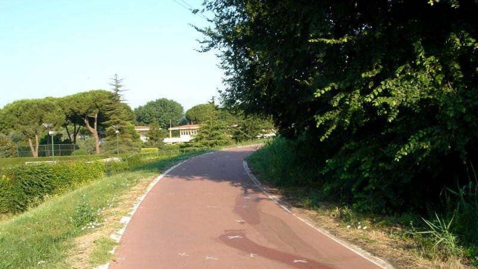 Strada asfaltata stretta e curva con bordo bianco, affiancata da vegetazione e alberi fitti su un lato e da un’area verde con siepi e alberi dall’altro. Sullo sfondo si intravedono edifici bassi, con cielo sereno e cavi aerei sopra la carreggiata.