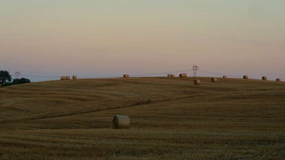 Campo agricolo ondulato con balle di fieno cilindriche sparse su un terreno appena mietuto. Sullo sfondo si vede l’orizzonte con tralicci elettrici e un cielo al tramonto dai toni rosati e azzurri.