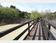 52159-photo-513115-orig-jpgjpg