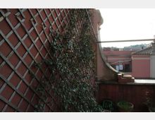 Terrazza urbana con parapetto in muratura e parete laterale rivestita da un grigliato in legno con piante rampicanti. Sullo sfondo si vedono tetti e facciate di edifici vicini, con una piccola area verde e vasi sul pavimento.