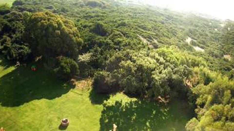 Vista panoramica dall’alto di un ampio prato verde circondato da alberi e da una fitta area boschiva, con sentieri che si diramano verso una zona più arida. Sullo sfondo si intravede la costa e il mare in lontananza.
