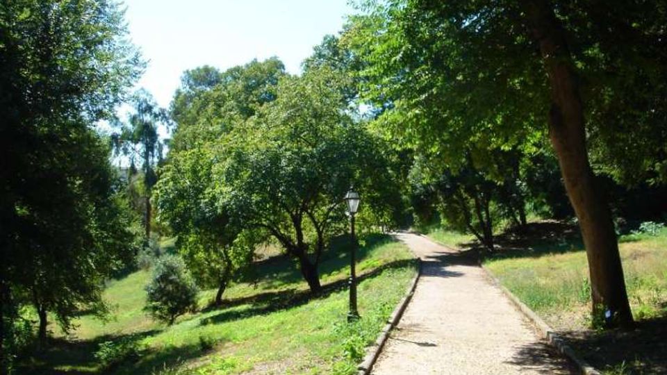 Sentiero pedonale in ghiaia che si snoda in un parco alberato, con prato ai lati e alberi ad alto fusto che creano zone d’ombra. Lungo il percorso è presente un lampione e il terreno circostante è leggermente in pendenza.