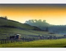 52024-photo-agriturismo-tenuta-agricola-fonte-di-papa-2-jpgjpg