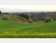 52030-photo-riservanaturaletenutadeimassimi-d0-jpgjpg