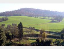 178-ca9d84b06e4ff528cf3f4d042dcd3ba2jpg