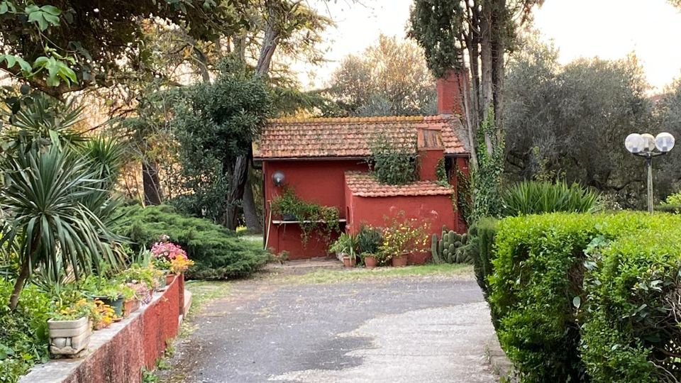 Vialetto asfaltato in un giardino alberato che conduce a un piccolo edificio rosso con tetto in tegole. Ai lati ci sono siepi curate, aiuole e vasi con piante, con alti alberi e lampioni sullo sfondo.