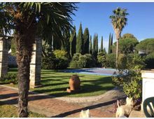 Giardino con prato curato e vialetti in pietra e mattoni, con una piscina rettangolare sullo sfondo. L’area è circondata da palme, cipressi e siepi, con un grande vaso in terracotta al centro e un cielo sereno.