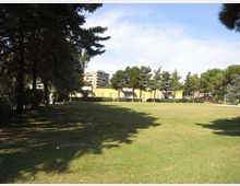 Ampio prato pianeggiante in un parco, con una fila di alberi ad alto fusto che costeggia il lato sinistro e proietta ombre sull’erba. Sullo sfondo si vedono edifici bassi e un palazzo più alto oltre le chiome degli alberi, sotto un cielo parzialmente nuvoloso.