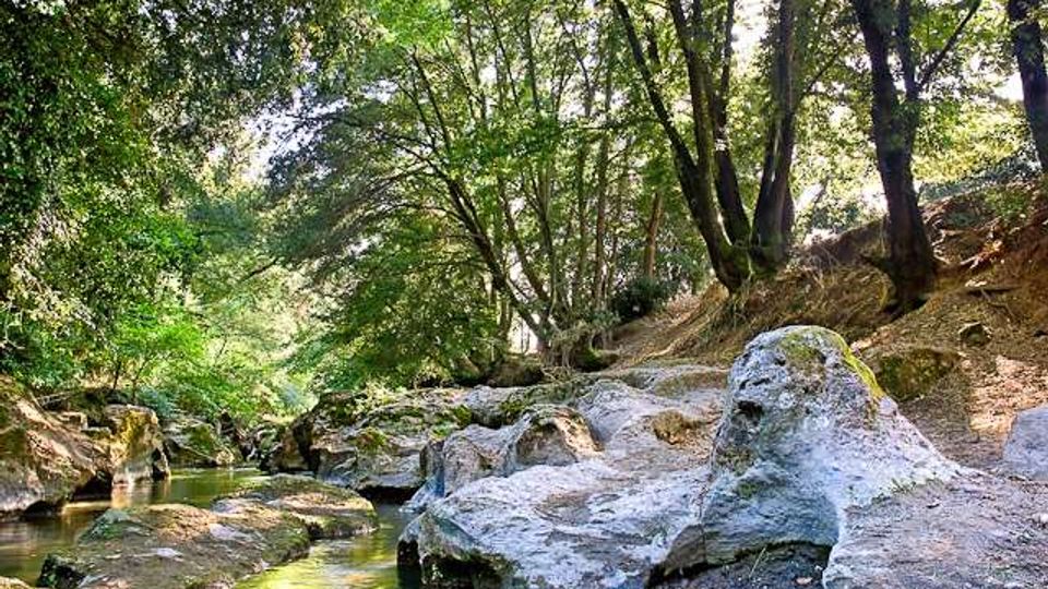 51888-photo-cid291-parco-veio-flora-fauna8-jpgjpg