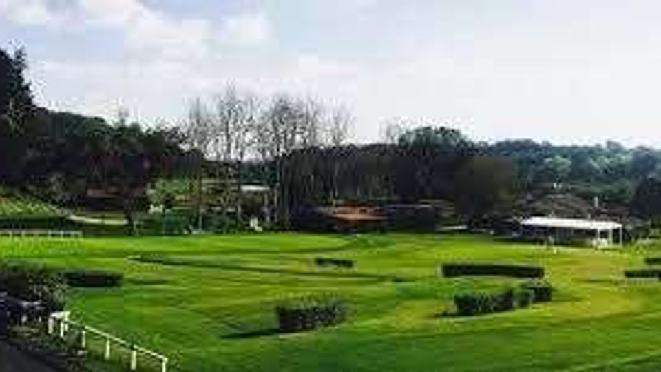 55817-photo-images-1-jpgjpg