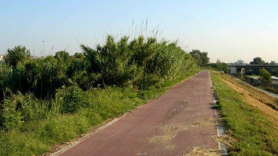 Pista ciclopedonale asfaltata rettilinea che attraversa un’area pianeggiante con vegetazione alta e cespugli fitti ai lati. A destra si vede un canale arginato e, più in lontananza, un ponte sotto un cielo sereno.
