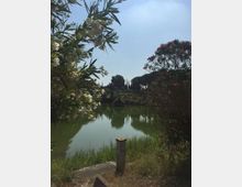 Lago tranquillo in un parco, con acqua verde che riflette alberi e cipressi sulla riva opposta. In primo piano cespugli fioriti bianchi e rossi incorniciano la vista, con vegetazione bassa e un piccolo paletto lungo il bordo del sentiero.