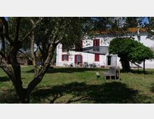 Cortile erboso con alberi in primo piano e una casa rurale a due piani sullo sfondo, con facciata bianca e persiane rosse. Davanti all’edificio si vedono una piccola area esterna con sedie e oggetti e un semplice tavolo in cemento nel prato.