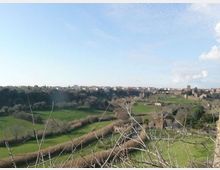 865-805b837153e145165cf273fa5a0d292fjpg