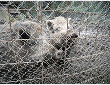 612-961cf1c0f3e21afd680b4bfda8a49007jpg