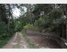 Strada sterrata in un’area boschiva con pini e vegetazione fitta ai lati. Sulla destra si vede un muro di contenimento in pietra curvo con un piccolo cartello e un ingresso in pietra.