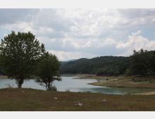 49500-photo-5-jpgjpg