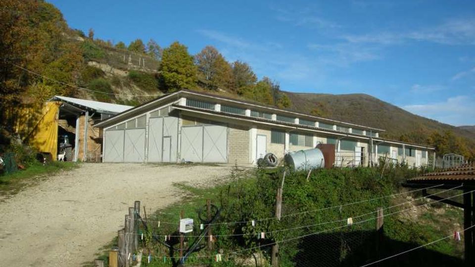 Capannone agricolo lungo e basso con tetto spiovente, grandi porte scorrevoli e finestre a nastro, situato su una strada sterrata ai piedi di una collina boscata. In primo piano si vedono recinzioni e vegetazione, con montagne sullo sfondo sotto un cielo sereno.