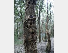 612-05dea97ae40d8e8e9d3d558090df7cb3jpg