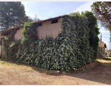 58030-photo-img-20210616-095541-jpgjpg