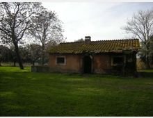 Piccola casa rurale in muratura con tetto di tegole coperto di muschio e camino centrale, con ingresso ad arco e finestre ai lati. È circondata da un prato verde con alberi sparsi e vegetazione bassa sullo sfondo.