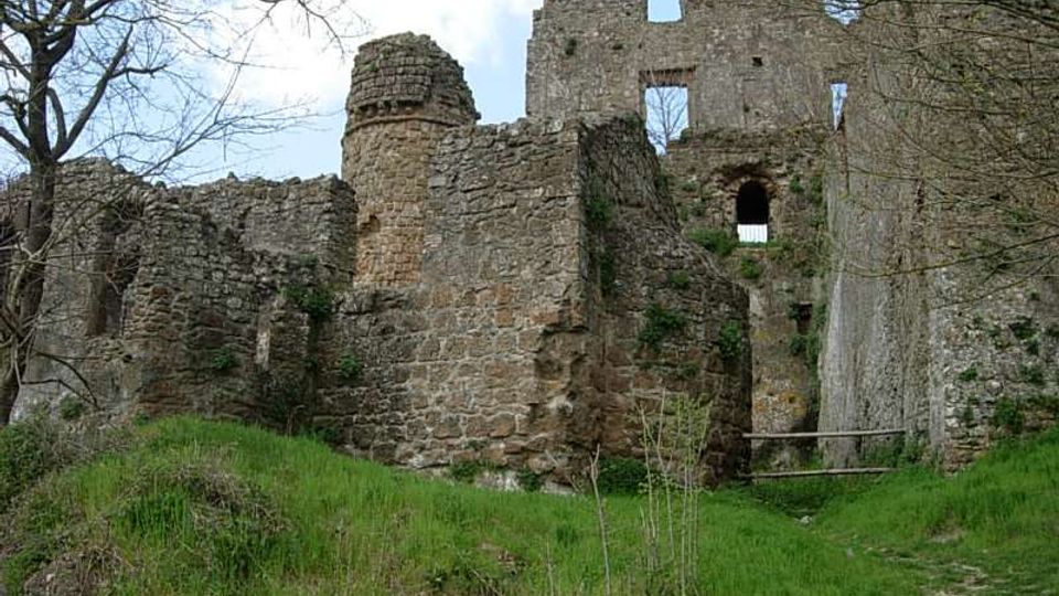 Rovine di un castello in pietra su un pendio erboso, con mura parzialmente crollate e aperture rettangolari e ad arco ancora visibili. Attorno si vedono alberi spogli e un sentiero che passa vicino alle strutture.