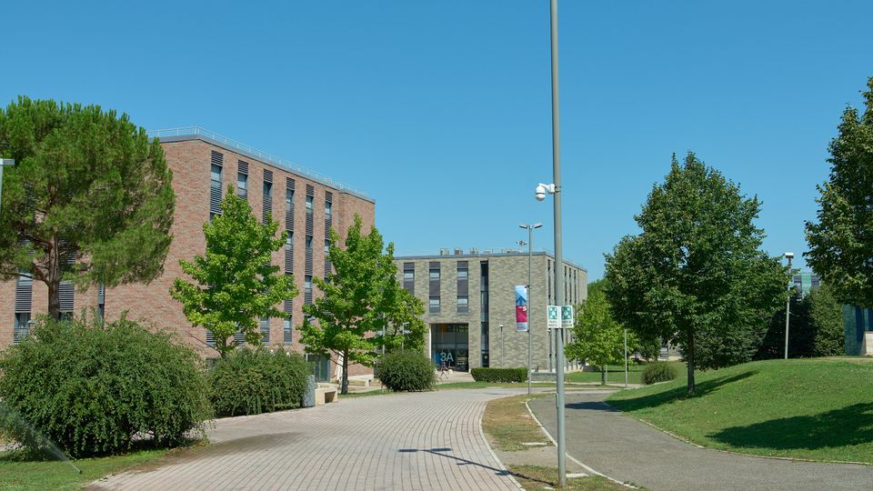 Viale pedonale curvo in un campus, con alberi e siepi ai lati, prati verdi e lampioni alti. Sullo sfondo si vedono edifici moderni a più piani in mattoni e pietra con finestre verticali e ingresso centrale.
