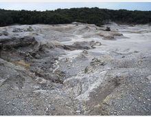 612-eb85faf8598432a400c7de416a4d44d8jpg