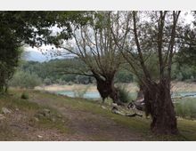 49506-photo-10-jpgjpg