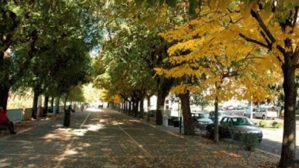 Viale alberato in un parco urbano con alberi a fogliame autunnale che formano un corridoio ombreggiato; un percorso pedonale centrale è affiancato da panchine e da una strada laterale con auto parcheggiate.