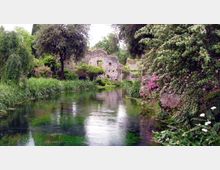 52205-photo-ninfa11-jpgjpg