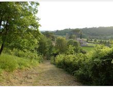 Sentiero sterrato in discesa tra alberi e cespugli, che conduce a una valle verde con campi e colline boscose sullo sfondo. In lontananza si vede una chiesa in pietra con campanile accanto a edifici rurali.