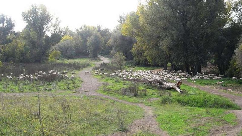 560-9388fb8756cc5d131d39611ef845646ejpg