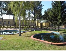 Area verde tipo parco con due vasche ornamentali basse e sinuose bordate in mattoni, circondate da prato e alberi. Sullo sfondo si vedono una recinzione in legno e alcuni edifici bassi con un piccolo padiglione dal tetto verde.