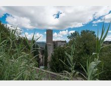 Vista panoramica di un borgo storico con edifici in pietra e una torre rettangolare alta al centro, circondati da alberi. In primo piano si vedono alte piante erbacee, con colline sullo sfondo sotto un cielo parzialmente nuvoloso.