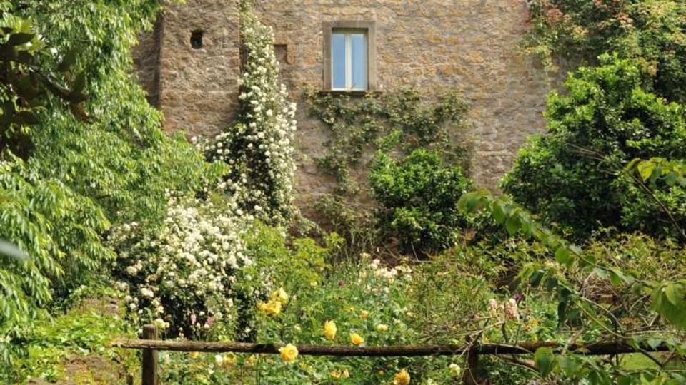 56072-photo-torrecchia-1-jpgjpg