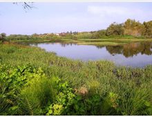 561-cda648f68e71ade8b167b9aff1f98281jpg