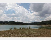 49509-photo-14-jpgjpg