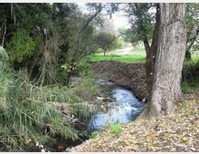 560-b7306704c4fe014c2b255c00aa0b1631jpg