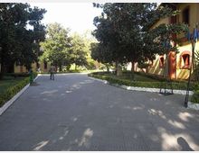 Viale pedonale pavimentato in un giardino, affiancato da siepi basse e grandi alberi che creano zone d’ombra. Sulla destra si vede un edificio con facciata giallo-ocra e finestre ad arco, con aiuole curate lungo il bordo.