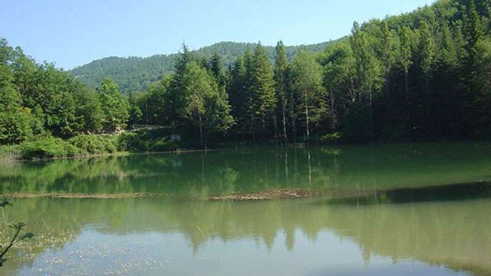 51903-photo-lagustelli-800-jpgjpg