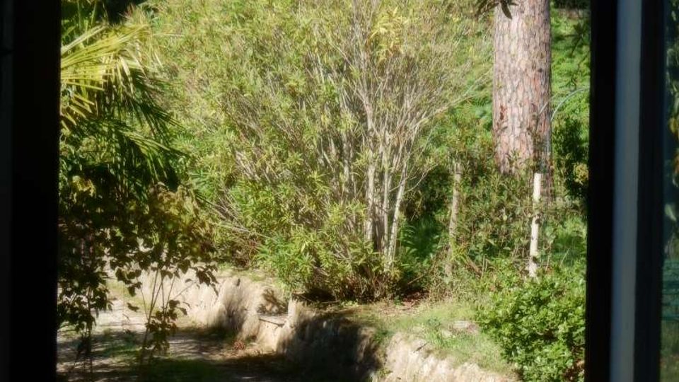 51058-photo-02a-jpgjpg