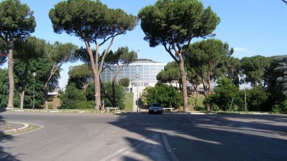 Strada asfaltata in area urbana con una rotatoria e alti pini marittimi ai lati. Sullo sfondo si vede un grande edificio moderno con facciata curva in vetro e strutture metalliche, circondato da verde e illuminazione stradale.
