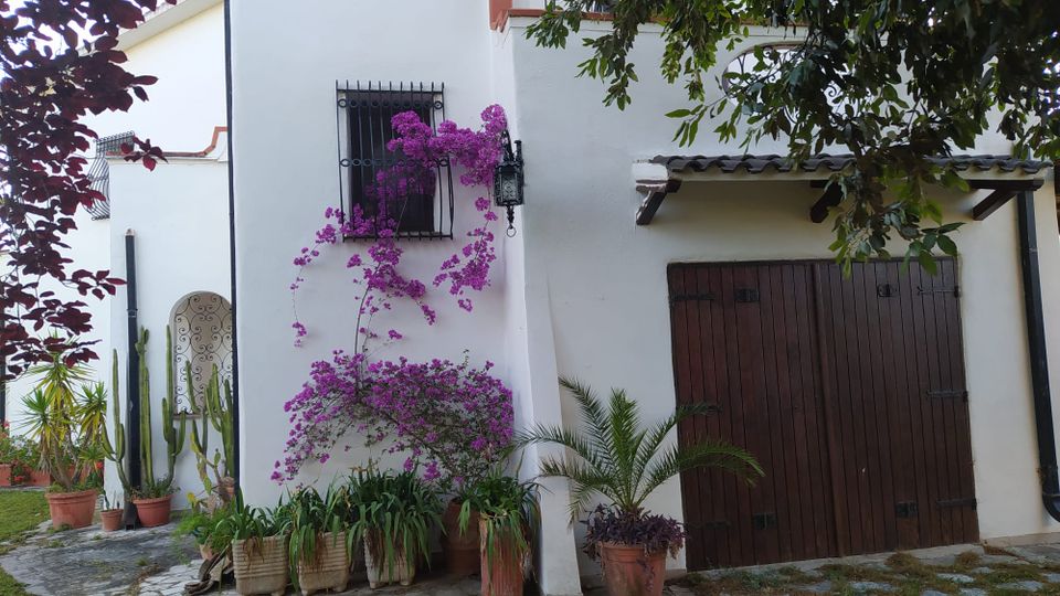 Cortile esterno di una casa con facciata bianca, finestra con inferriata e grande portone in legno sotto una piccola tettoia. Davanti, un vialetto in pietra con vasi di piante e una bouganville fucsia rampicante, ombreggiati da alberi.