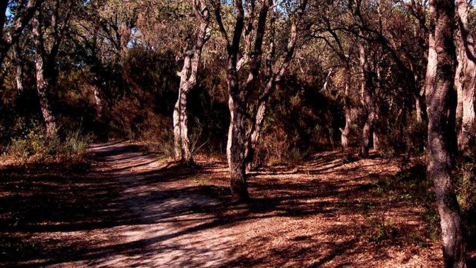 51908-photo-071021-0041-5060-jpgjpg