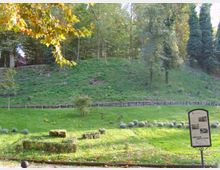 684-7fc06464970679996611bb8e756a0a03jpg