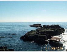 Scogliera rocciosa che si estende nel mare, con grandi massi scuri e acqua calma che riflette la luce. All’orizzonte si vede il mare aperto sotto un cielo sereno e limpido.