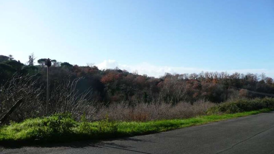 870-4f69110201b70e4ecdbced4fa7cd1b88jpg