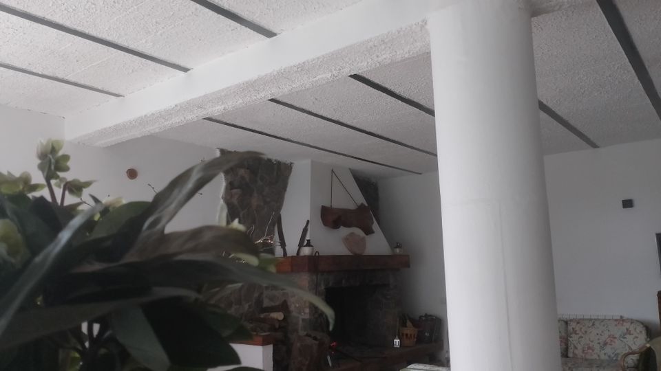 Interno di un soggiorno con pareti bianche e soffitto a travi, con una grande colonna cilindrica in primo piano. Sullo sfondo si vede un camino in pietra con mensola in legno e arredi da salotto; una pianta con foglie ampie occupa parte della vista a sinistra.